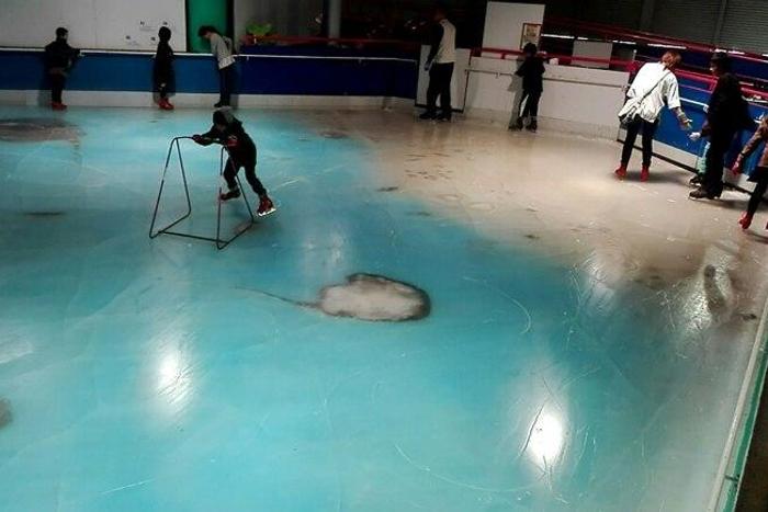 People skate on an ice rink with 5,000 frozen dead fish inside at the Space World amusement park in Kitakyushu, southwestern Japan