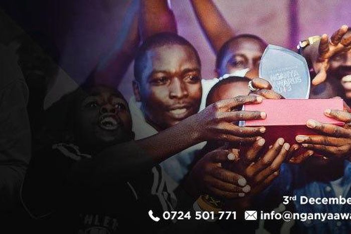 ___5738602___https:______static.pulse.com.gh___webservice___escenic___binary___5738602___2016___11___10___14___nganya