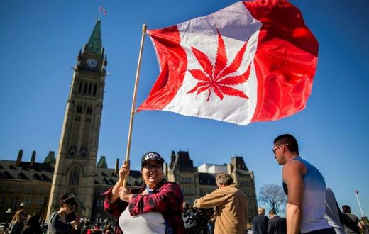 Canada is poised to become second country to fully legalize recreational marijuana use