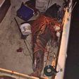 A 2.7 metre (8.8 feet) great white shark, which leapt into the boat of fisherman Terry Selwood, near Evans Head in northern New South Wales state