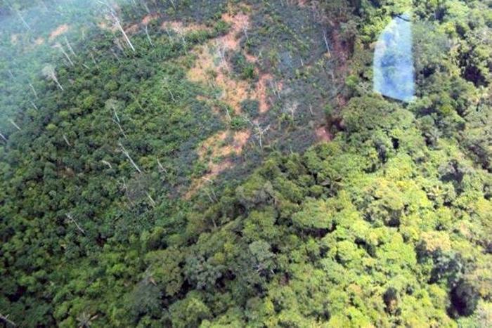 The killings of six illegal gold miners were carried out by the Yanomami tribe in the Amazonian state of Roraima on the frontier with Venezuela