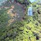 The killings of six illegal gold miners were carried out by the Yanomami tribe in the Amazonian state of Roraima on the frontier with Venezuela