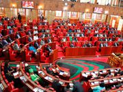 Parliament during a past session