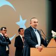 Turkish Foreign Minister Mevlut Cavusoglu speaks Sunday at a rally in the French eastern city of Metz to drum up support among Turks there for constitutional referendum back home