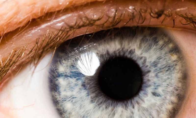 How to Maintain Eye Contact if You're Anxious