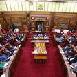 The Senate of Kenya