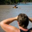 A resident watches as a property owner paddles a kayak to rescue a cow, stranded in floodwaters caused by Cyclone Debbie, in North MacLean, Brisbane