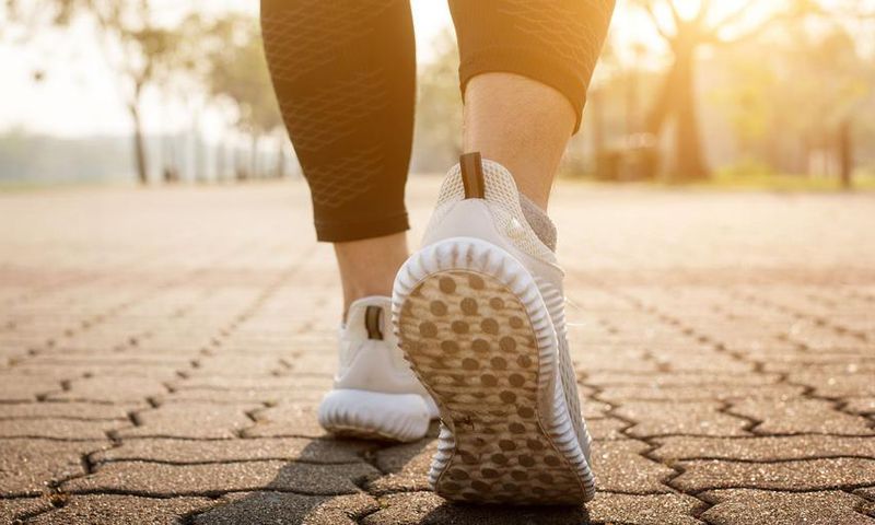 Can Walking Help You Burn Calories?