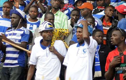 Ingwe Fans