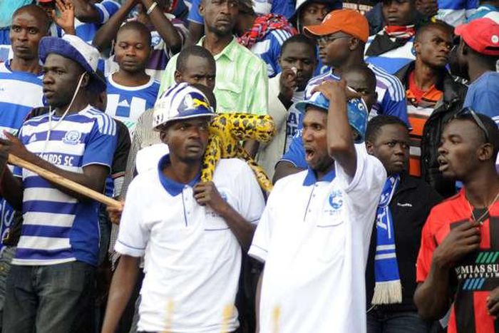 Ingwe Fans