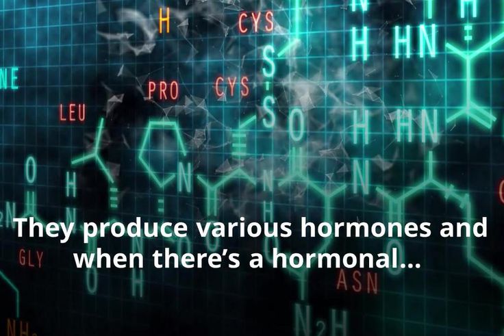 10 Ovary Facts You Probably Did Not Know About