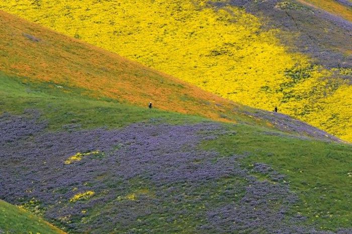 Carrizo Plain was declared a national monument in 2001 under the Antiquities Act, a decision now under review by the Trump administration