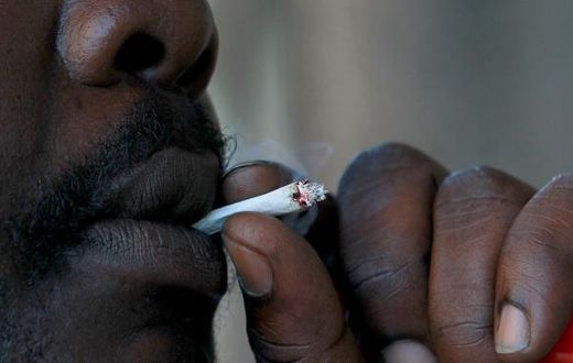 ___6492991___https:______static.pulse.com.gh___webservice___escenic___binary___6492991___2017___4___7___8___Weed1