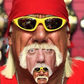 The Best Hulk Hogan Memes on the Internet