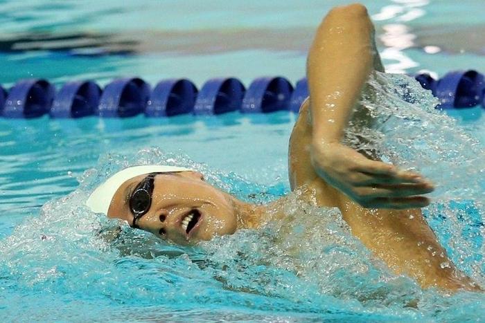Olympic swimmer Park Tae-Hwan is the latest figure to be caught up in the influence-peddling scandal