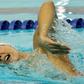Olympic swimmer Park Tae-Hwan is the latest figure to be caught up in the influence-peddling scandal