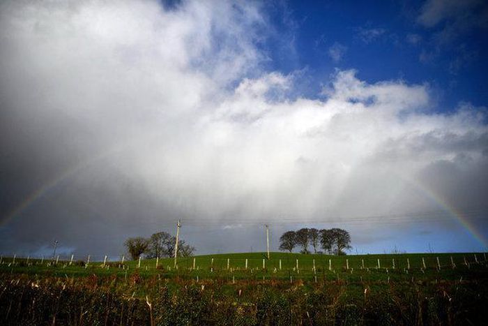 A St Patricks day miracle United Ireland