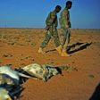 Servicemen walk past a flock of dead goats in a dry area in northeastern Somalia, on December 15, 2016 where drought has severely affected livestock