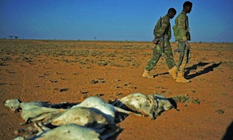 Servicemen walk past a flock of dead goats in a dry area in northeastern Somalia, on December 15, 2016 where drought has severely affected livestock