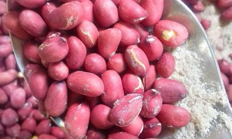 Peanuts(cookpad)