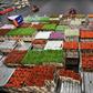 The Dutch government is warning business that a hard Brexit could hurt the country's economy, including the Netherlands' massive flower production