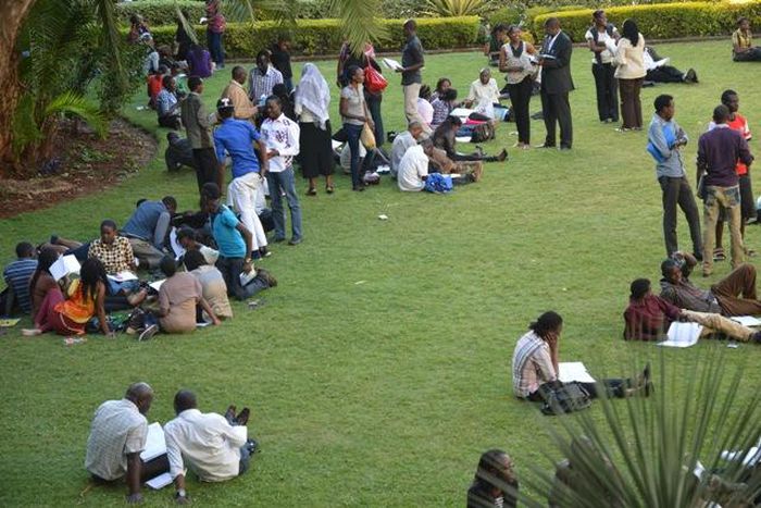 Internship to be compulsory