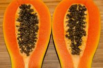 Cut ripe papaya(InformedMag)