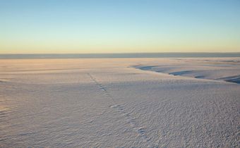 Tests for Oil in Arctic Refuge Won't Happen This Winter, Officials Say