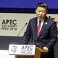 China's President Xi Jinping giving a speech during a session of the APEC CEO Summit, part of the broader Asia-Pacific Economic Cooperation (APEC) Summit in Lima