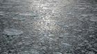 Climate Change Could Leave Thousands of Lakes Ice-Free