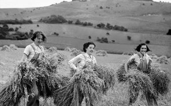 Women With Axes: The World War II 'Lumberjills'