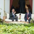 Netherland's Prime Minister Mark Rutte chats to to Indonesian President Joko Widodo at the presidential palace in Jakarta on November 23, 2016