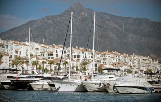 The Assad family hold millions of dollars worth of real estate in and around swish Puerto Banus and Marbella in southern Spain