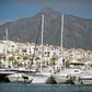 The Assad family hold millions of dollars worth of real estate in and around swish Puerto Banus and Marbella in southern Spain