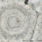 Iron-carbonate (white) rosette with concentric layers of quartz inclusions (grey) and a core of a single quartz crystal with tiny (nanoscopic) inclusions of red hematite from the Nuvvuagittuq Supracrustal Belt are seen in Québec, Canada