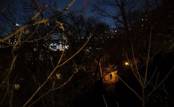 Sex in New York City Parks? It's Less of a Thing Than It Used to Be