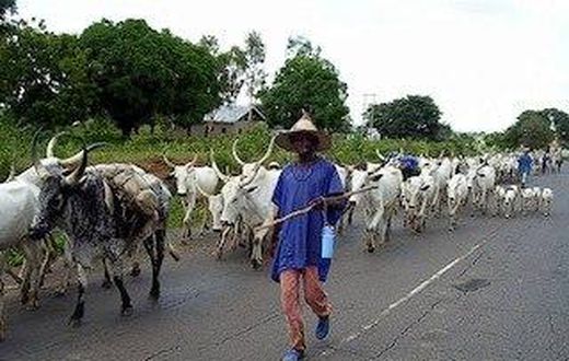 Cattle rustling: Police arraign 28-year-old alleged gang leader in Katsina