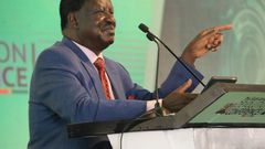 AU envoy Raila Odinga