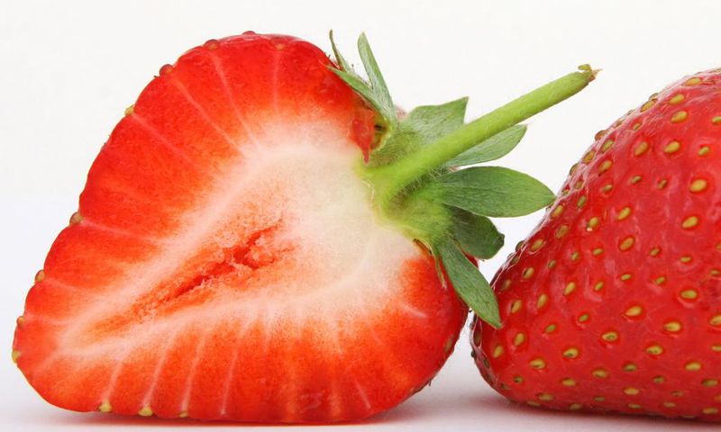Healthy vagina(The Cord)