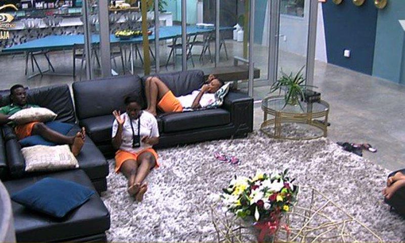 Big Brother Naija