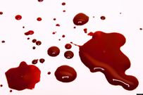 Blood(courtesy)