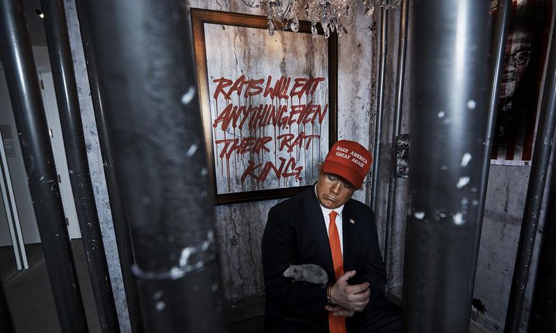 Trump Has Inspired Art. That's Not Always a Good Thing.
