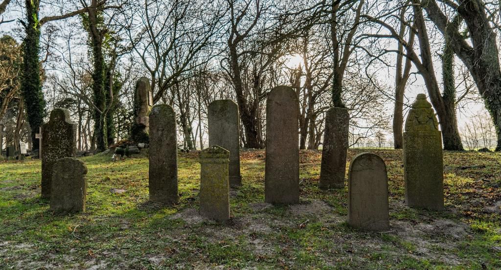 Trees In Cemetery