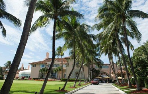 Donald Trump will host Chinese President Xi Jinping at his opulent Florida mansion, which he has dubbed the "Winter White House"