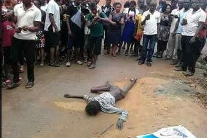 The transformed bird