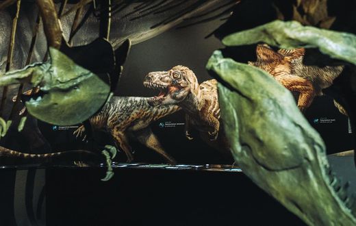 T. Rex Like You Haven't Seen Him: With Feathers
