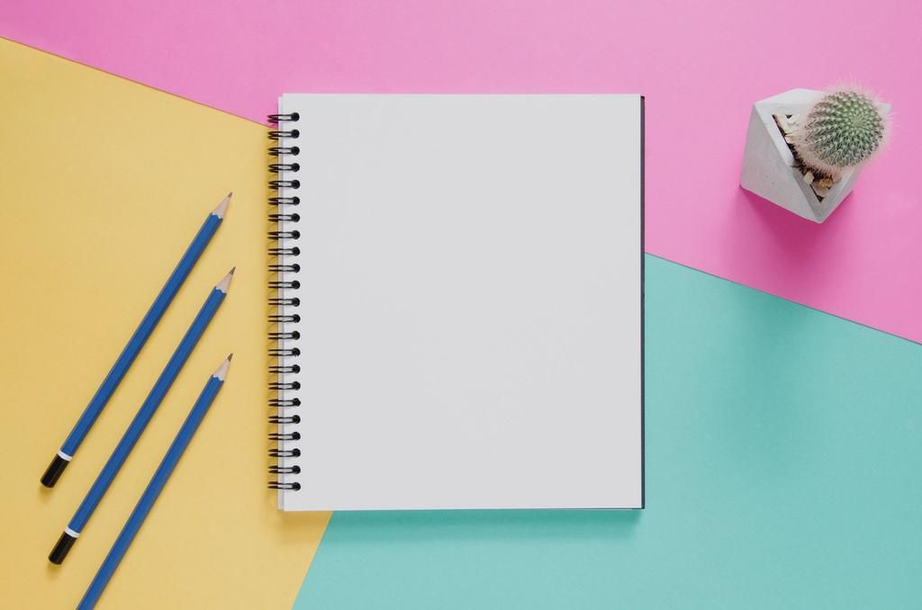 Directly Above Shot Of Book And Pencils With Cactus On Colored Background