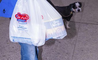 New Yorkers Who Reuse Plastic Bags Bemoan Ban