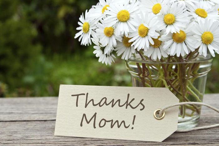 ___6426330___https:______static.pulse.com.gh___webservice___escenic___binary___6426330___2017___3___25___11___best-types-of-flowers-for-mom