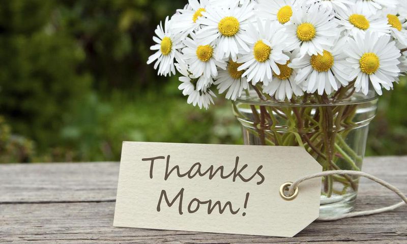 ___6426330___https:______static.pulse.com.gh___webservice___escenic___binary___6426330___2017___3___25___11___best-types-of-flowers-for-mom